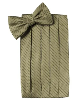 Champagne Palermo Cummerbund