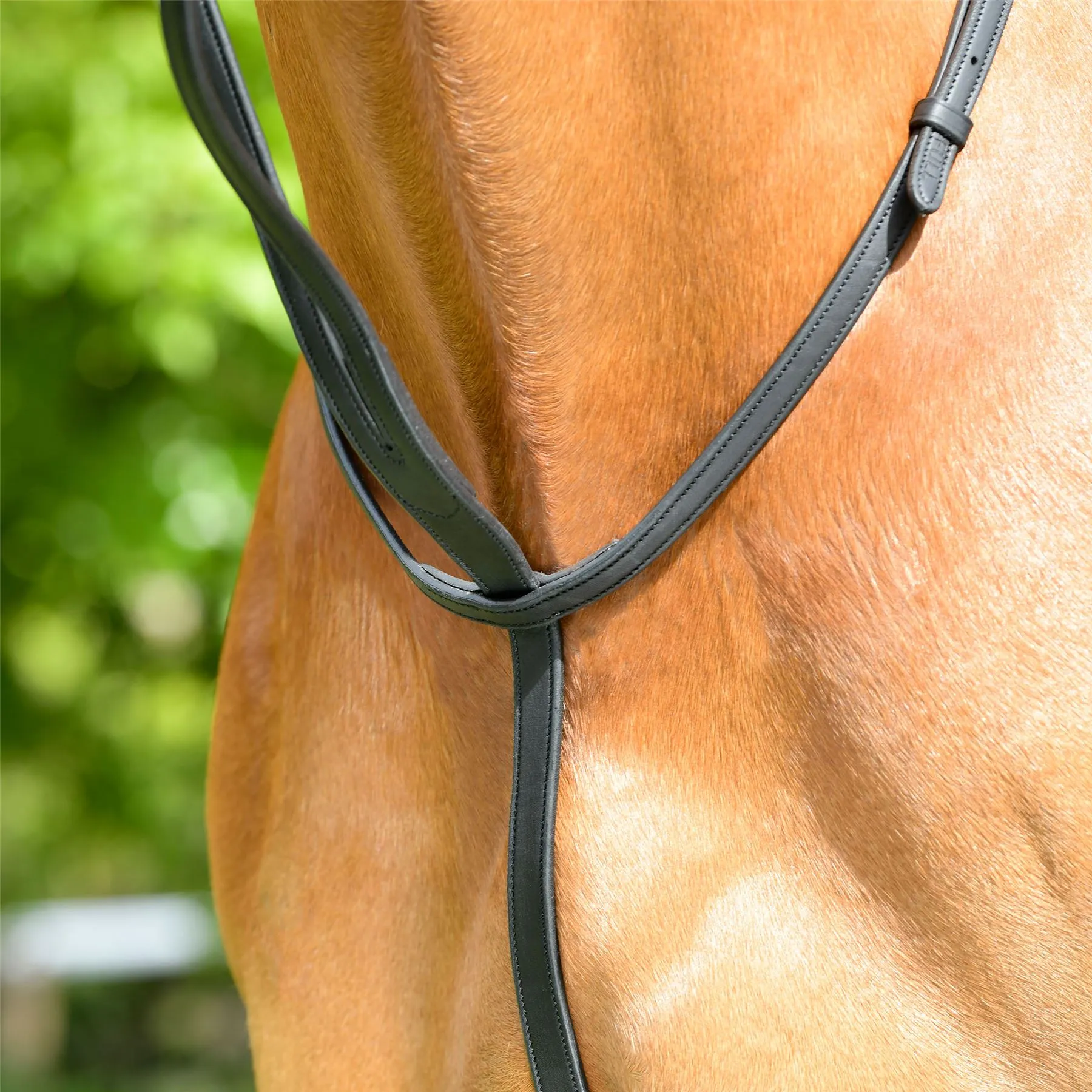 Collegiate Comfitec Opulux Plain Flat Running Martingale