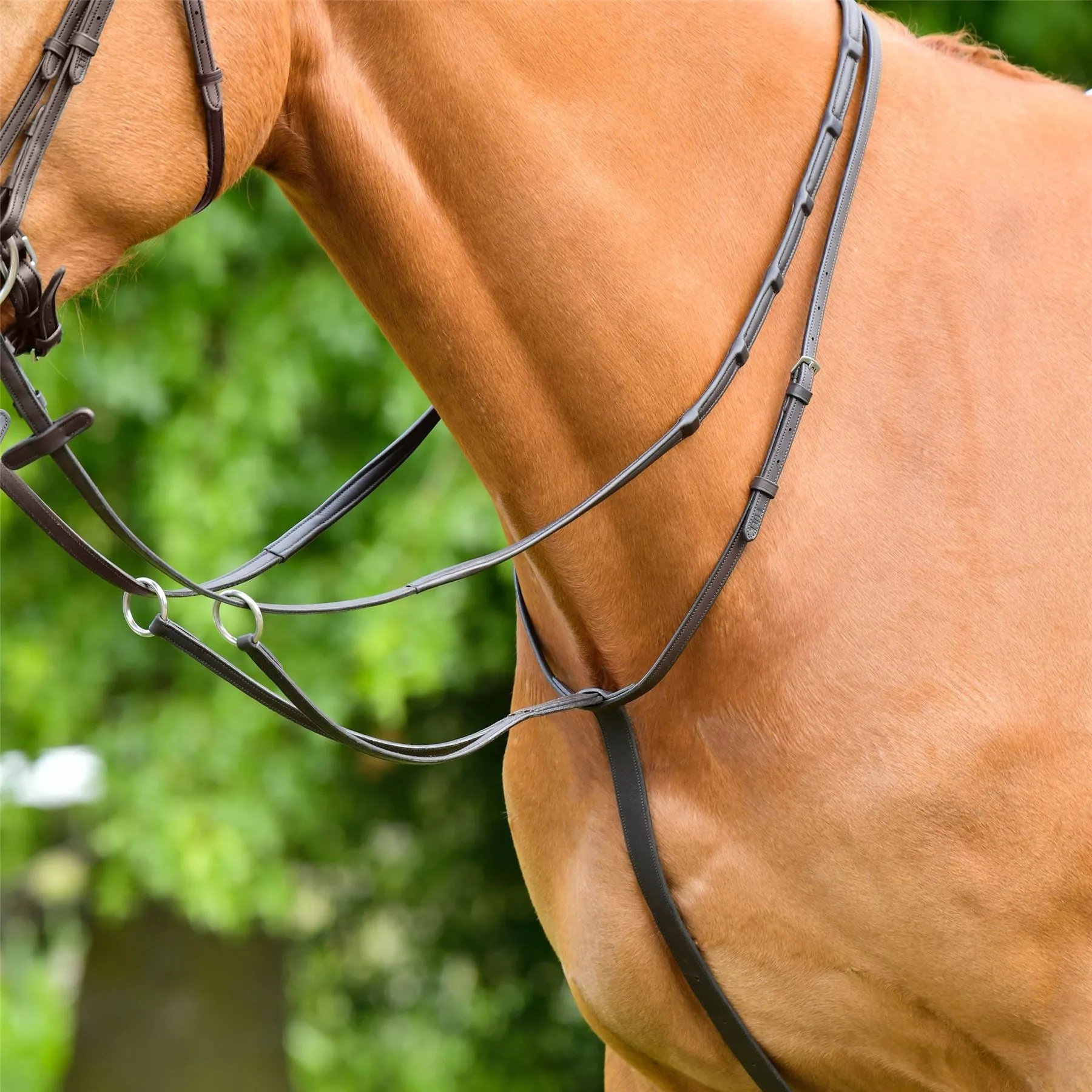 Collegiate Comfitec Opulux Plain Flat Running Martingale