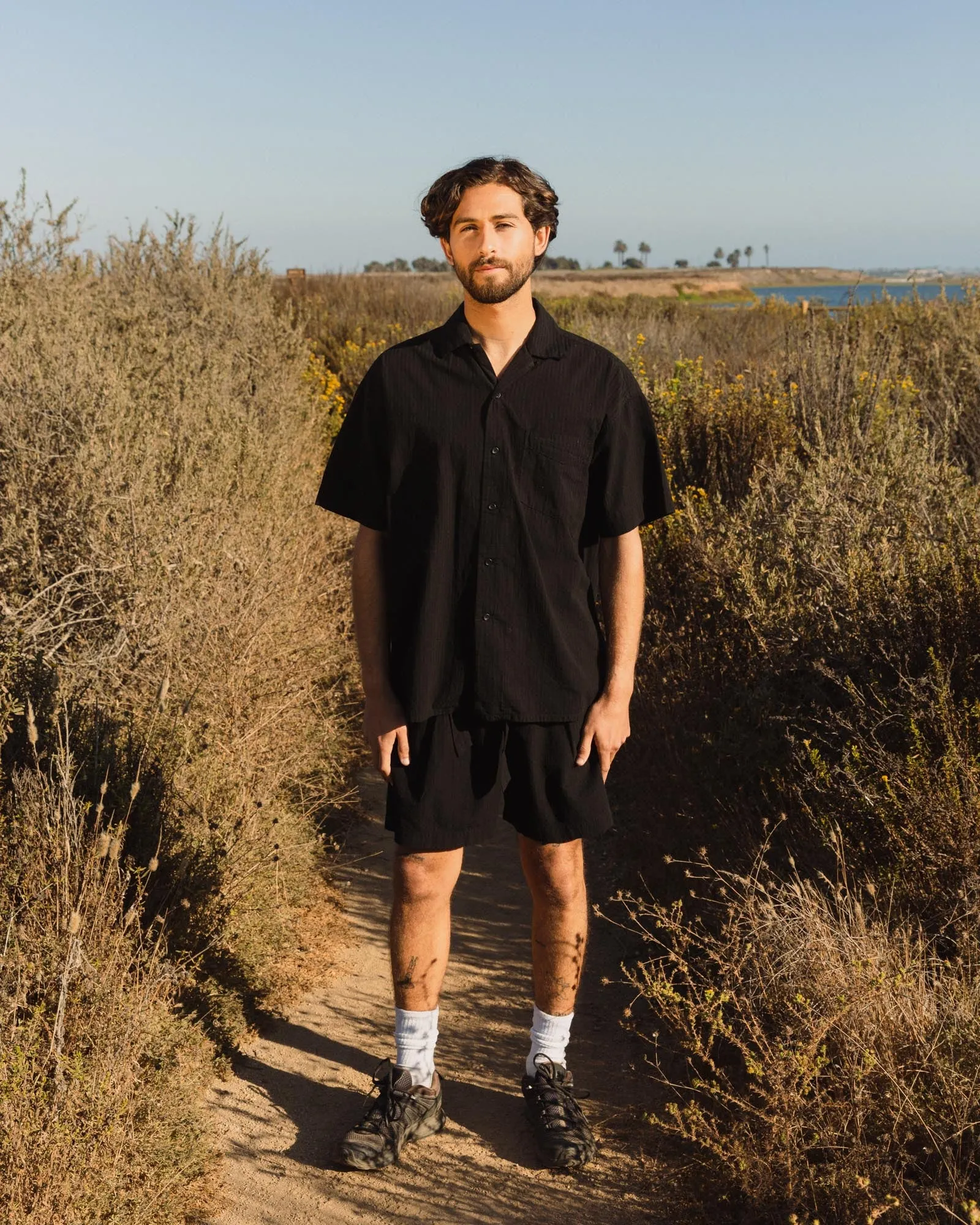 Daydream Shoreline Shorts