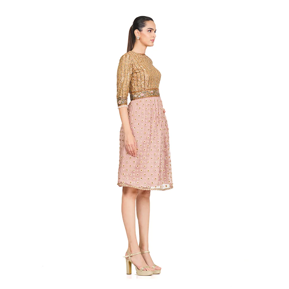 Hand Embroidered Sequin Dress