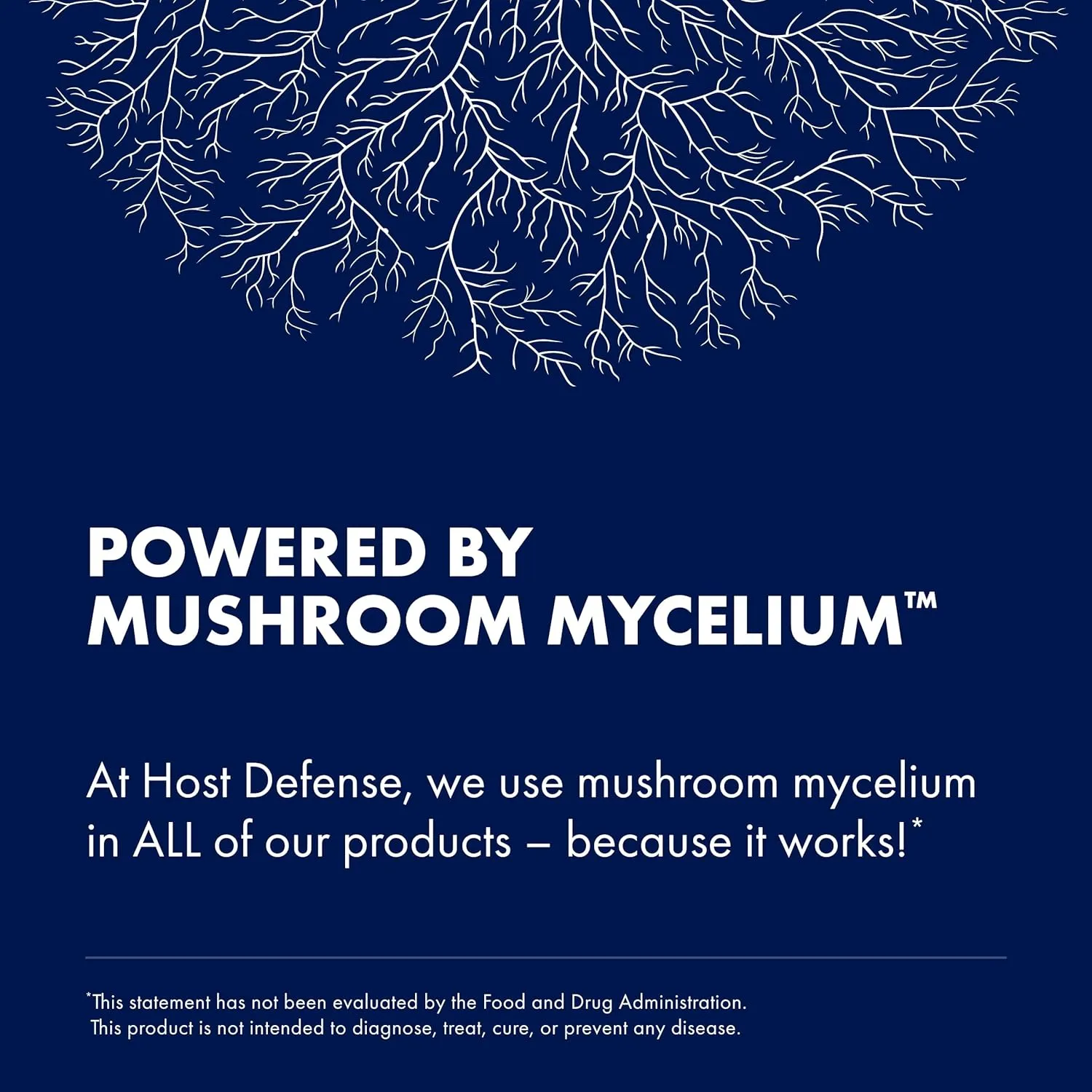 Host Defense, MycoShield Spray, Daily Immune Support, Mushroom Supplement, Peppermint, 2 fl oz