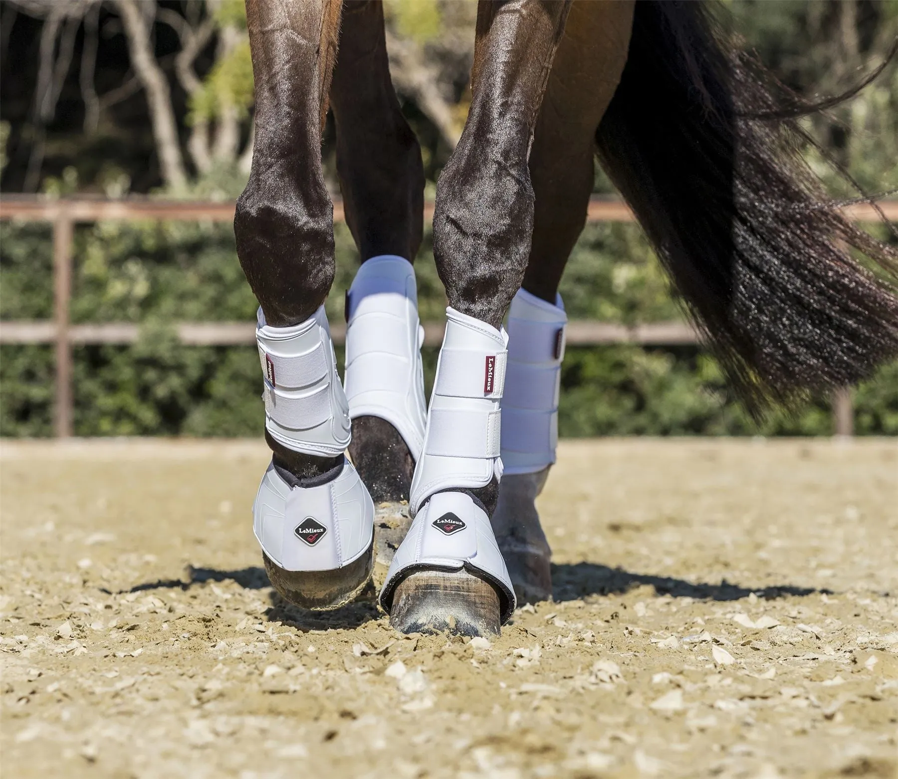 LeMieux ProShell Over Reach Boots
