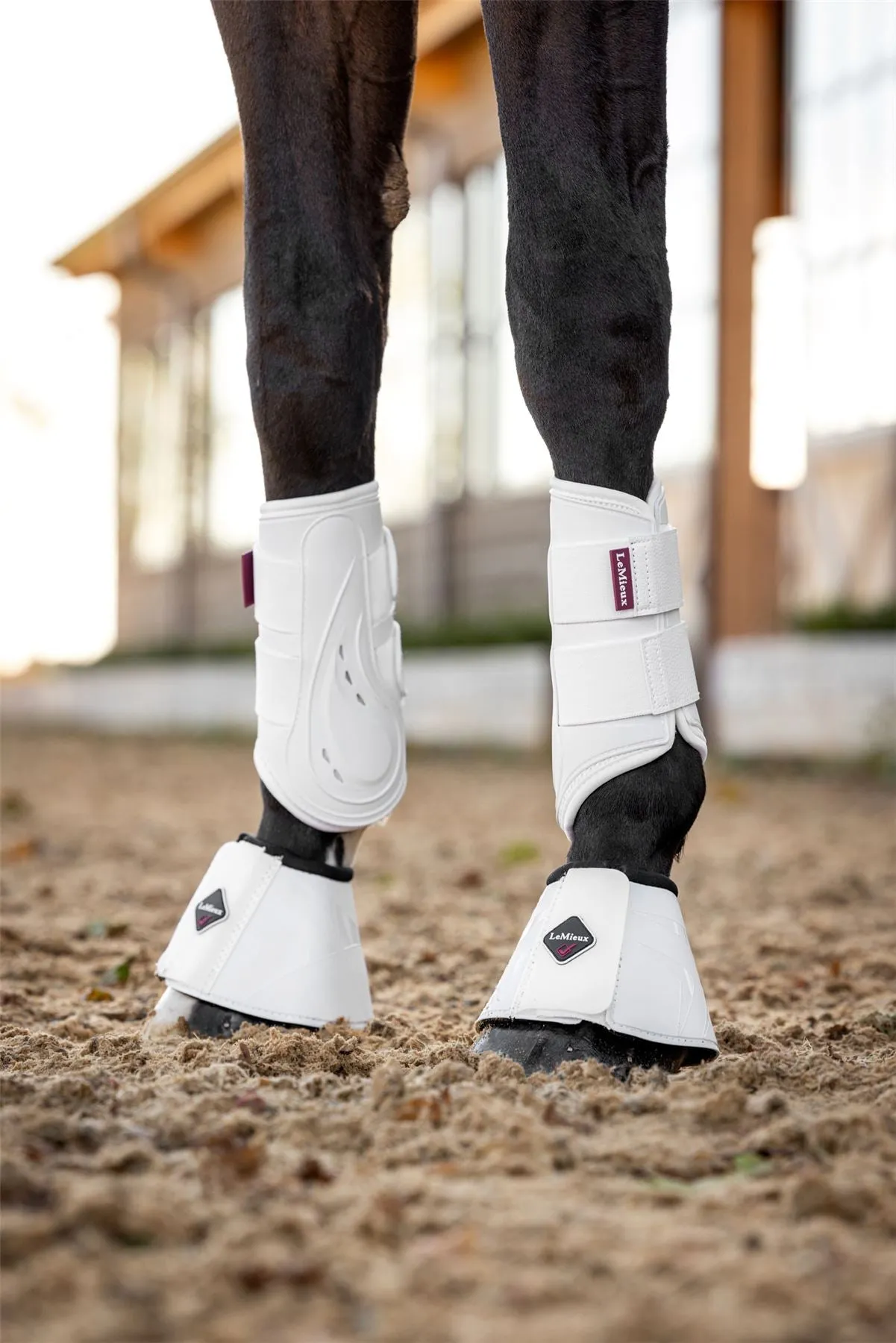 LeMieux ProShell Over Reach Boots
