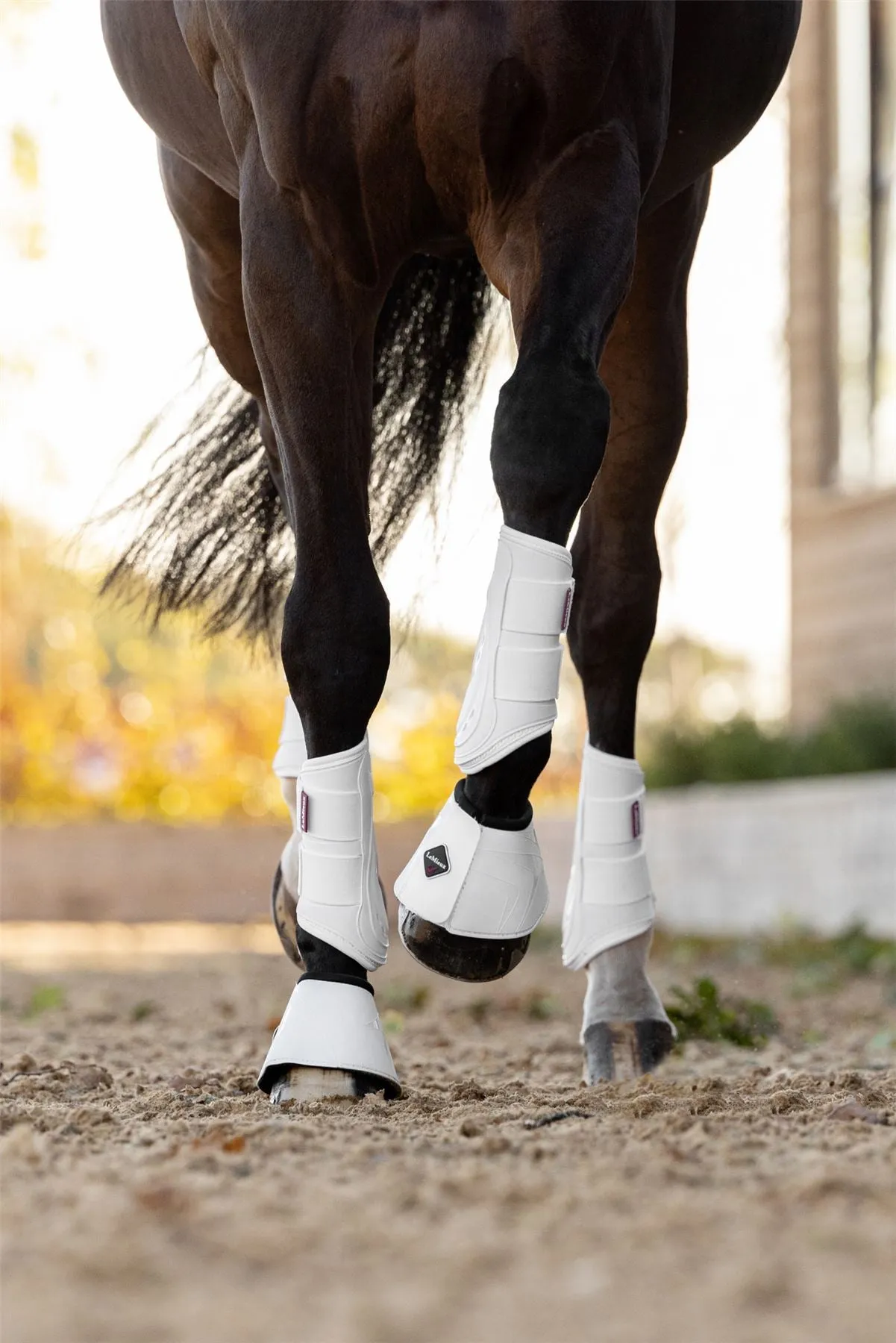 LeMieux ProShell Over Reach Boots