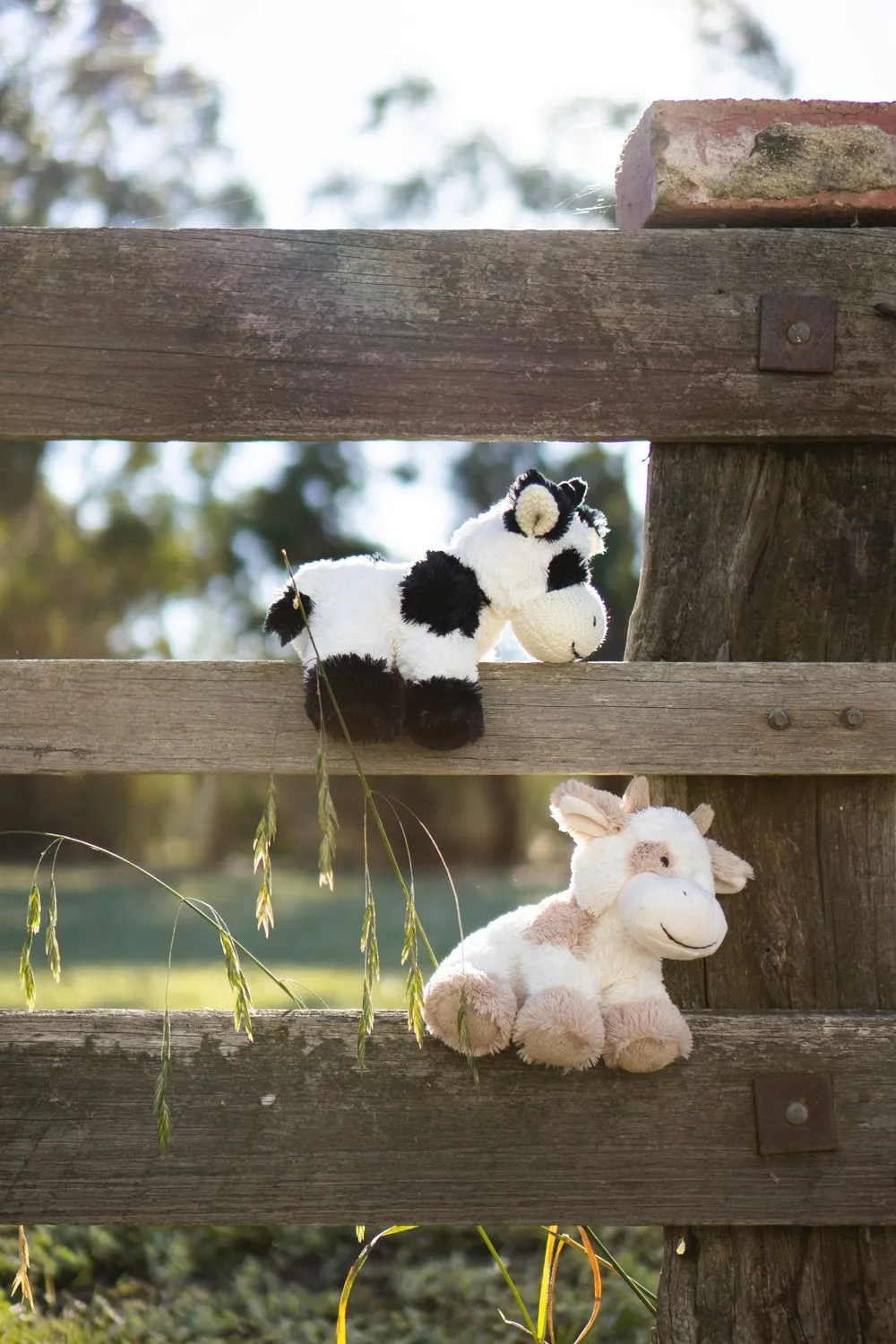 Nana Huchy Coco the Cow - Black & White