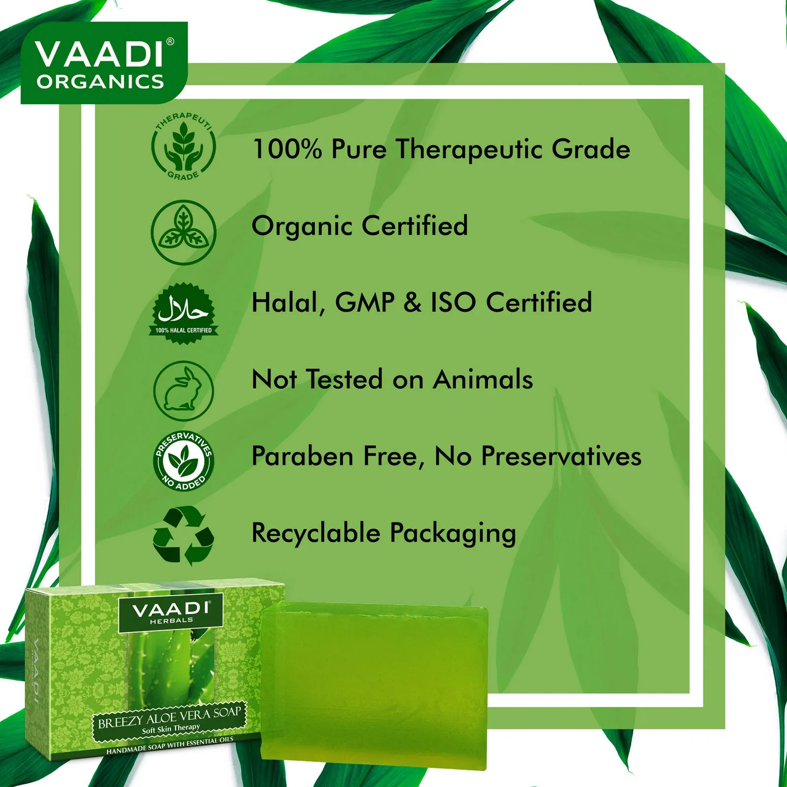 Pack of 12 Breezy Aloe Vera Soap (75 gms x 12)