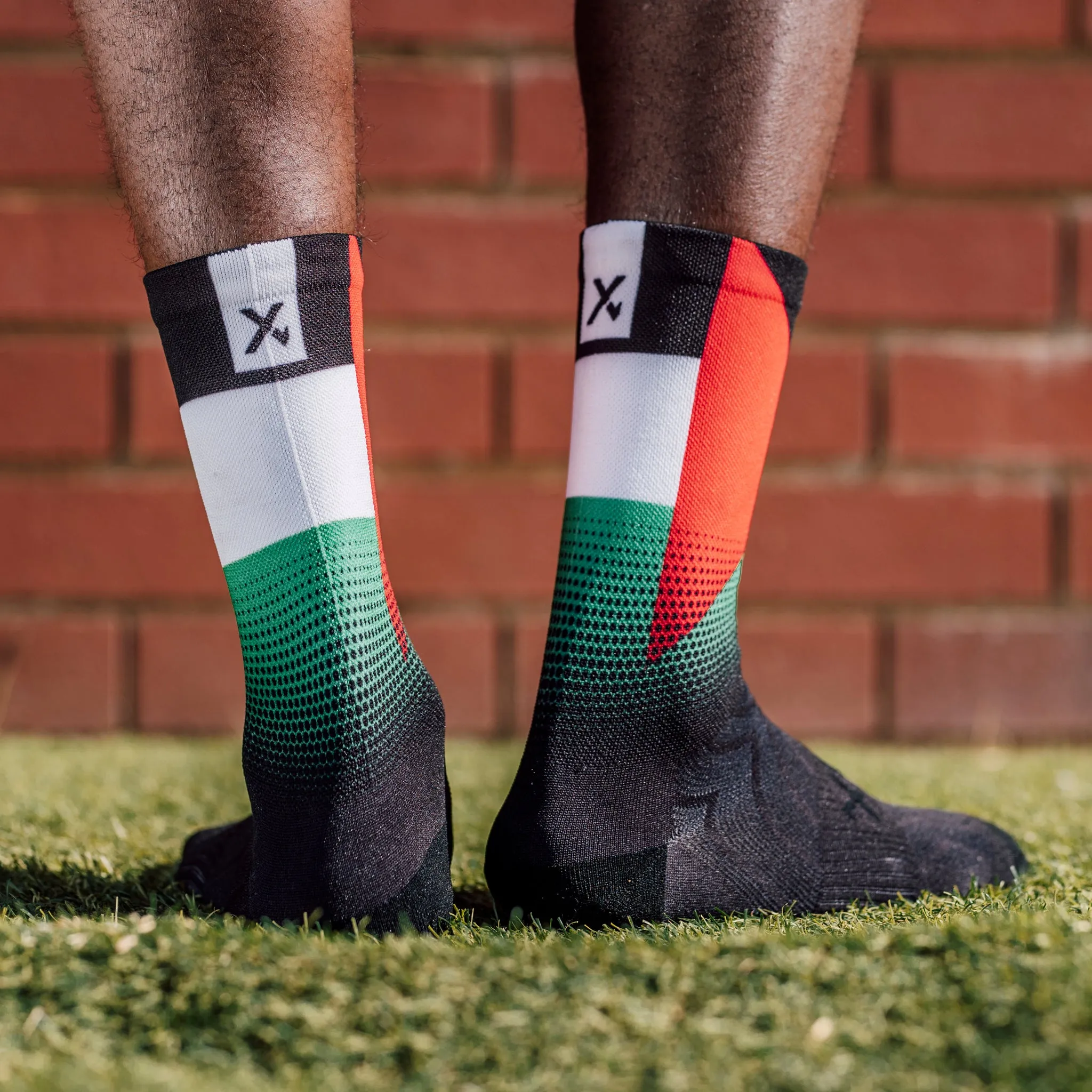 Palestine Flag Socks