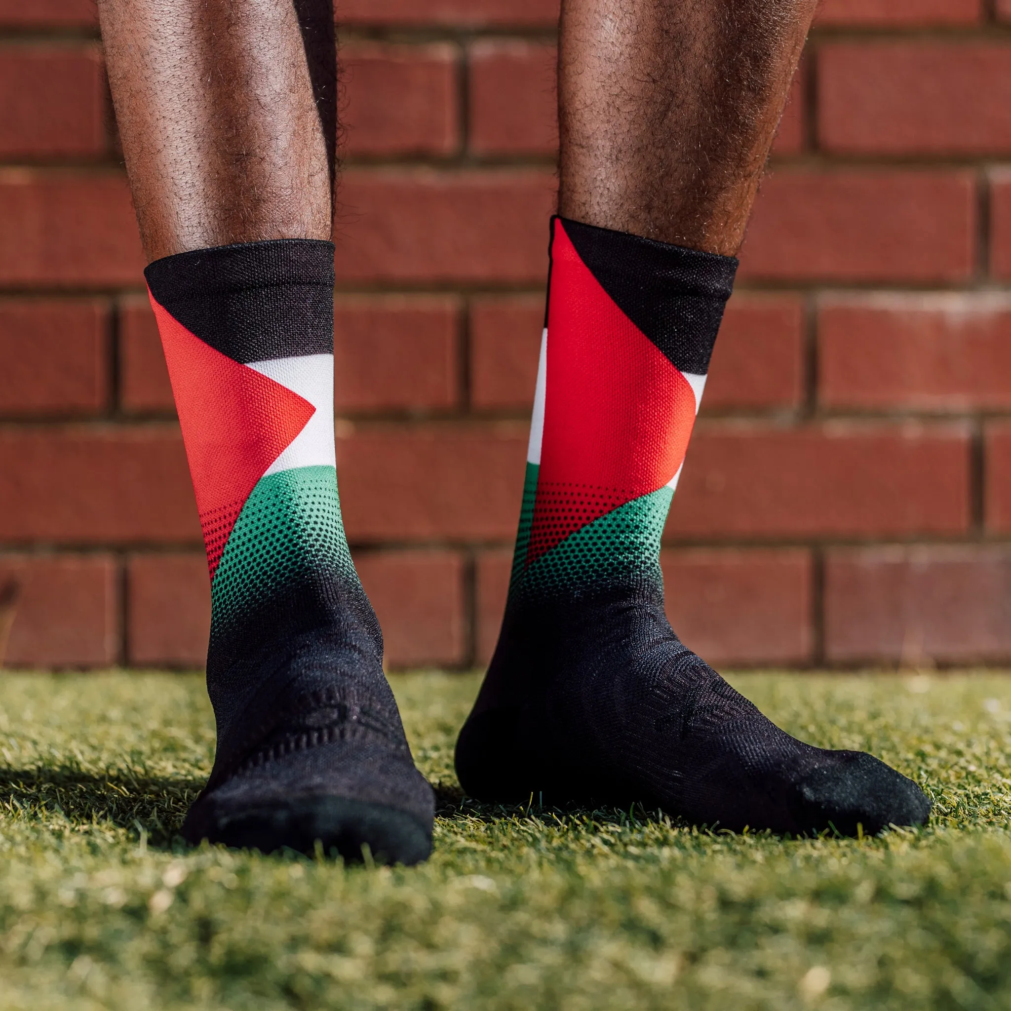 Palestine Flag Socks