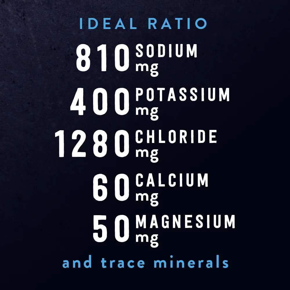 Re-Lyte® Hydration Limited Edition / Salty Palmer (60 servings)