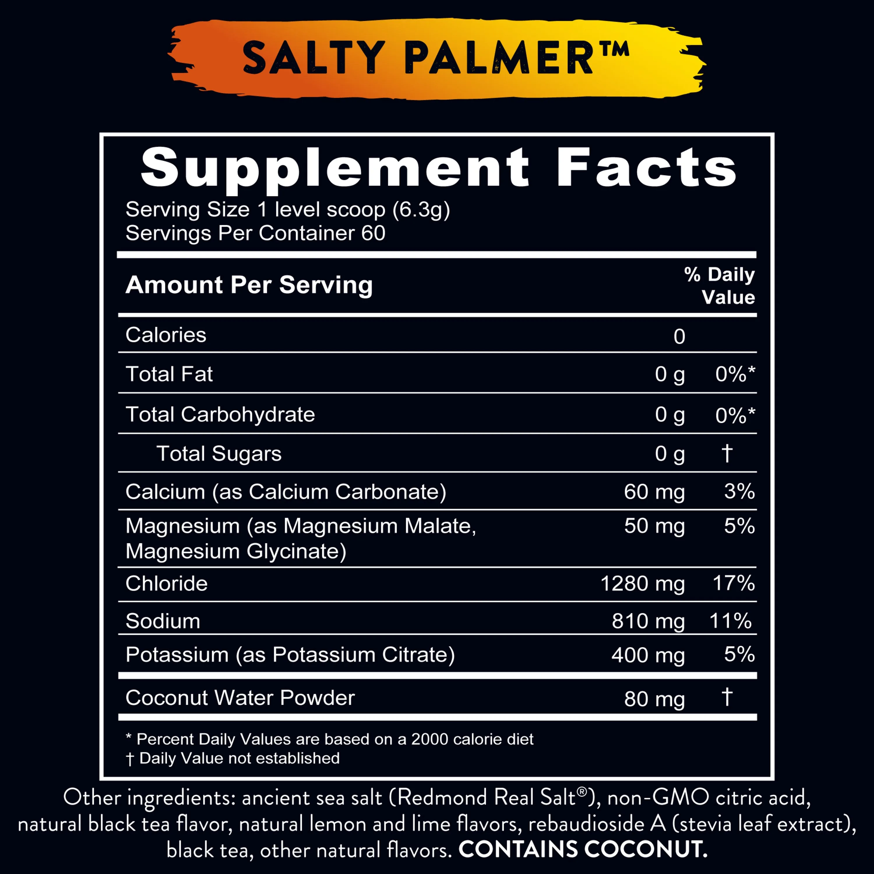 Re-Lyte® Hydration Limited Edition / Salty Palmer (60 servings)
