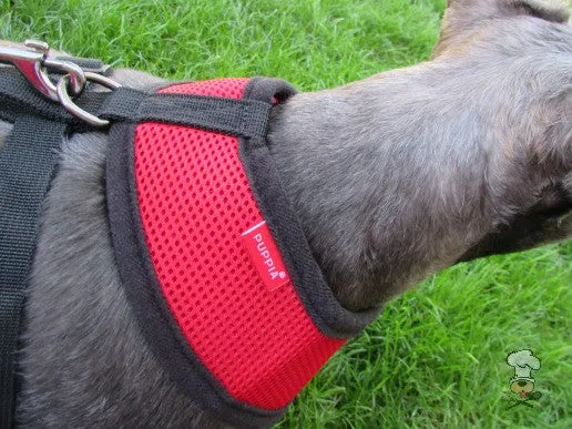 Red Soft Harness